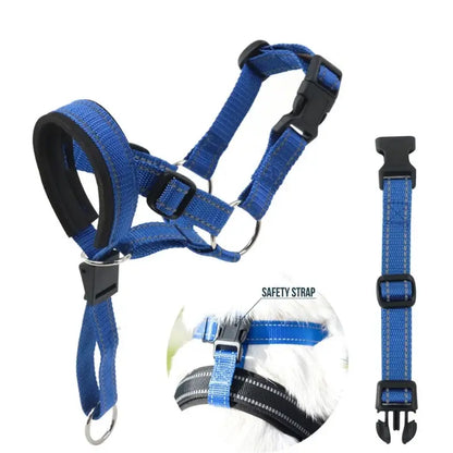 Training Pet Collar
