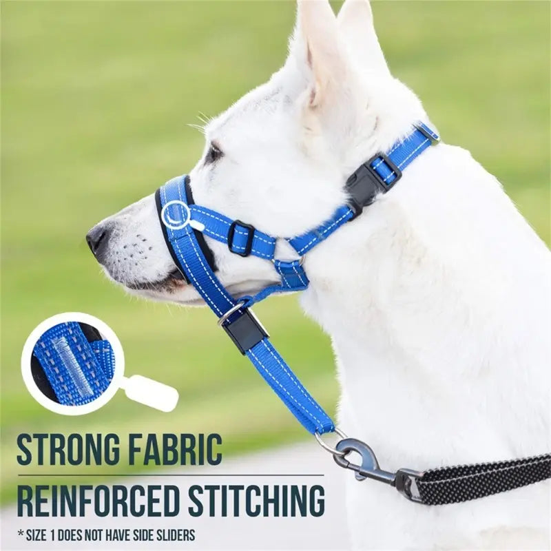 Training Pet Collar