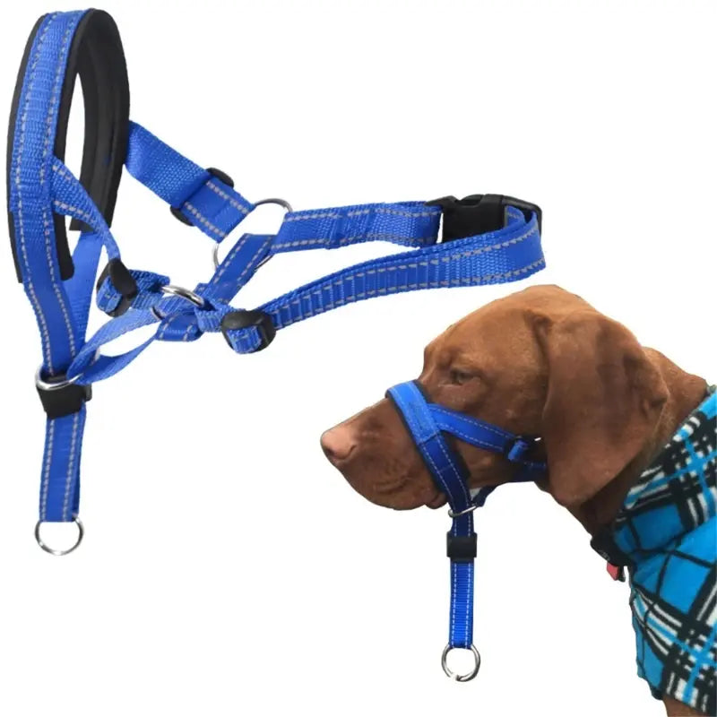 Training Pet Collar