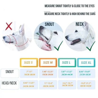 Training Pet Collar